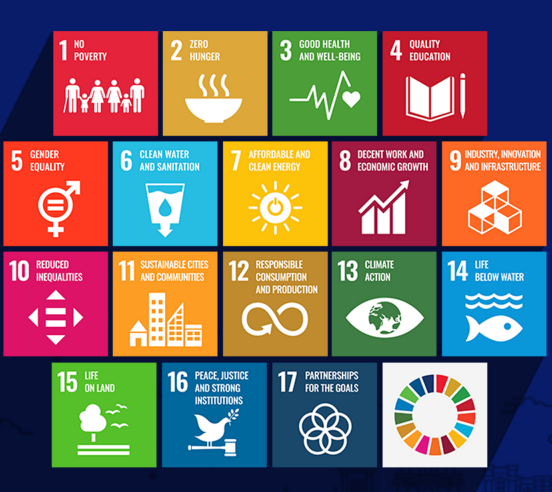 International SDGs Summit 2026